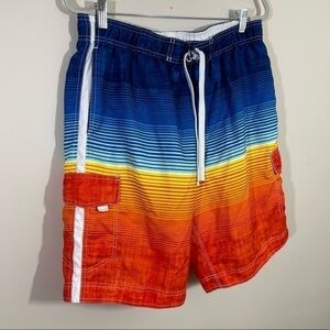 Wave Zone sz lg mens swimsuit  multicolored with the liner